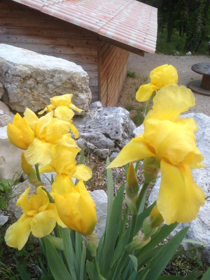Lodge Du Berlandou Escragnolles Экстерьер фото